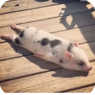 Стикер Стикерочки - 2