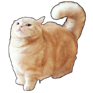 Стикер Стикерочки by KABAL3 - 8