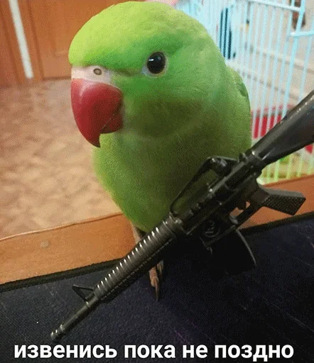 Стикер Jizn' - 11