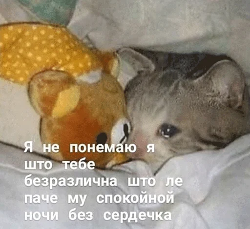 Стикер Jizn' - 10