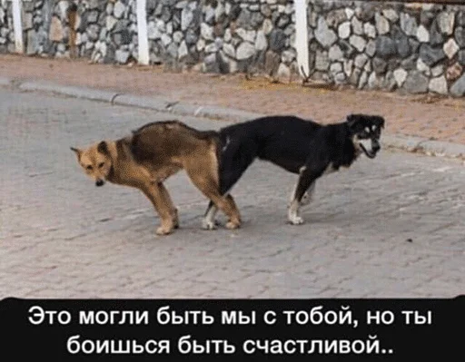 Стикер Jizn' - 9