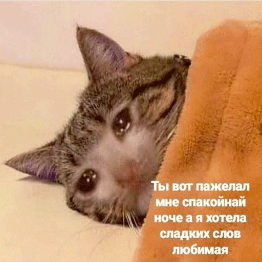 Стикер Jizn' - 8