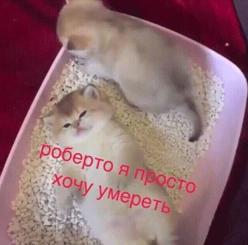 Стикер Jizn' - 7