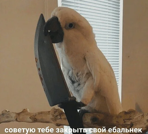 Стикер Jizn' - 6