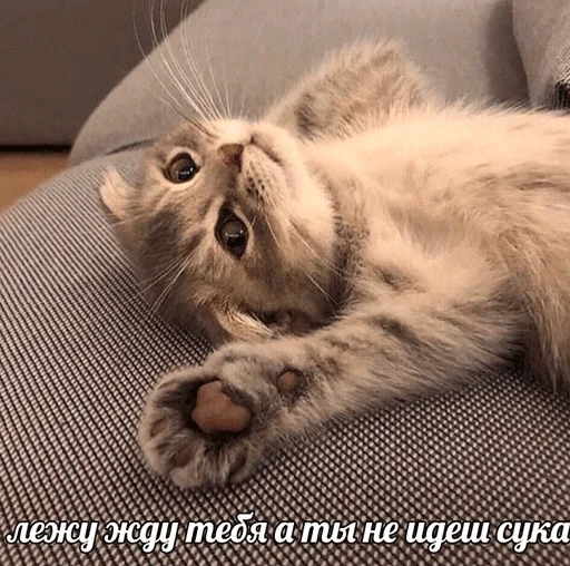 Стикер Jizn' - 4