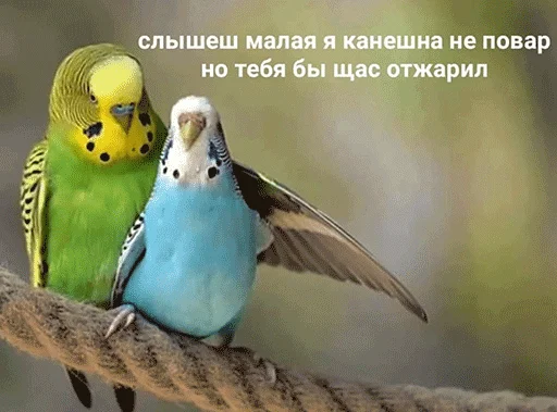 Стикер Jizn' - 2