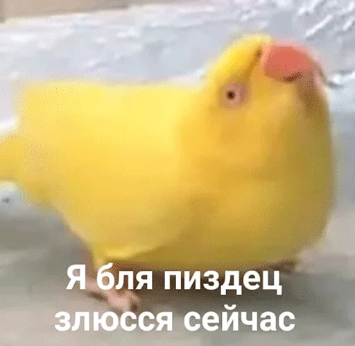 Стикер Jizn' - 1