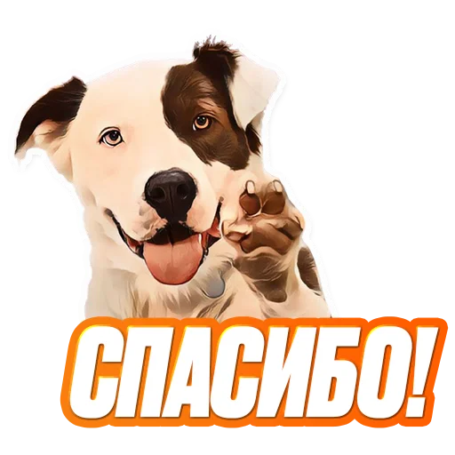 рыло порода собак домашнее животное