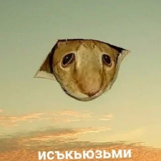 Sticker Стикеры - 2