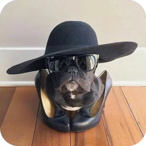 Sticker StikeryDlyaAvtoritetov - 1