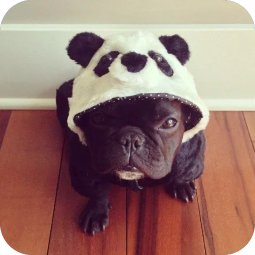 Sticker StikeryDlyaAvtoritetov - 1