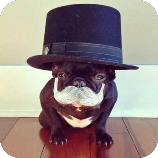 Sticker StikeryDlyaAvtoritetov - 1