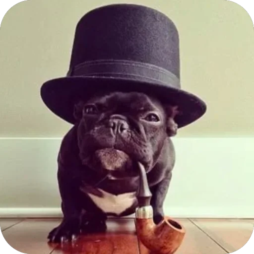 Sticker StikeryDlyaAvtoritetov - 1