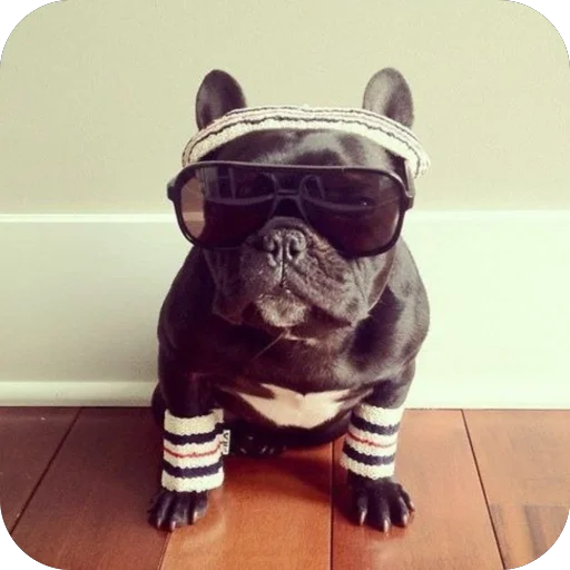 Sticker StikeryDlyaAvtoritetov - 1