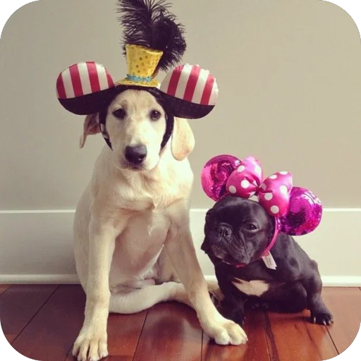 Sticker StikeryDlyaAvtoritetov - 1