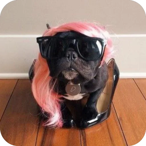 Sticker StikeryDlyaAvtoritetov - 1