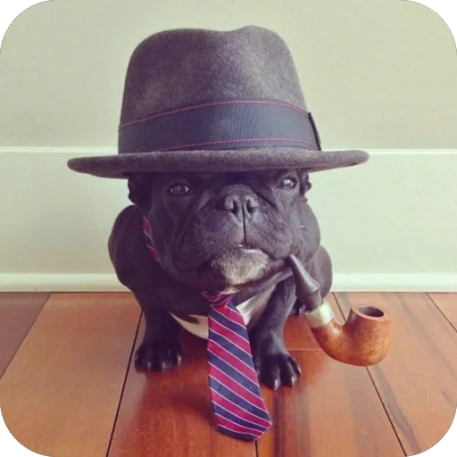 стикеры для авторитетов сделал @disctictic - 