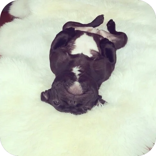 Sticker StikeryDlyaAvtoritetov - 1