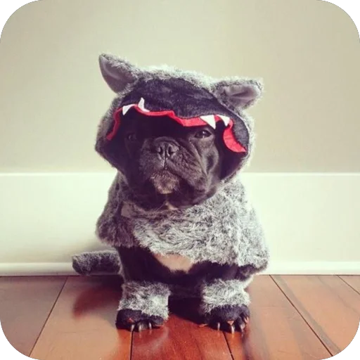 Sticker StikeryDlyaAvtoritetov - 1