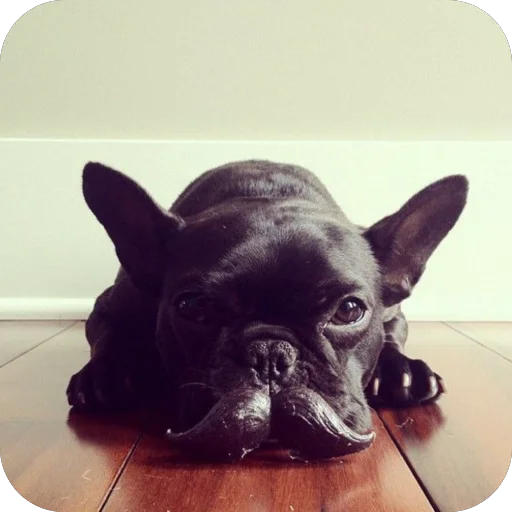 Sticker StikeryDlyaAvtoritetov - 1