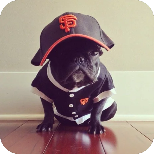 Sticker StikeryDlyaAvtoritetov - 1