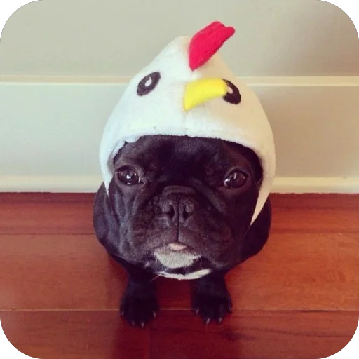 Sticker StikeryDlyaAvtoritetov - 1