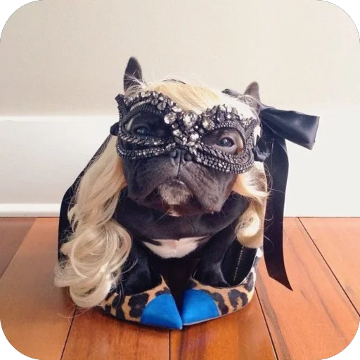 Sticker StikeryDlyaAvtoritetov - 1