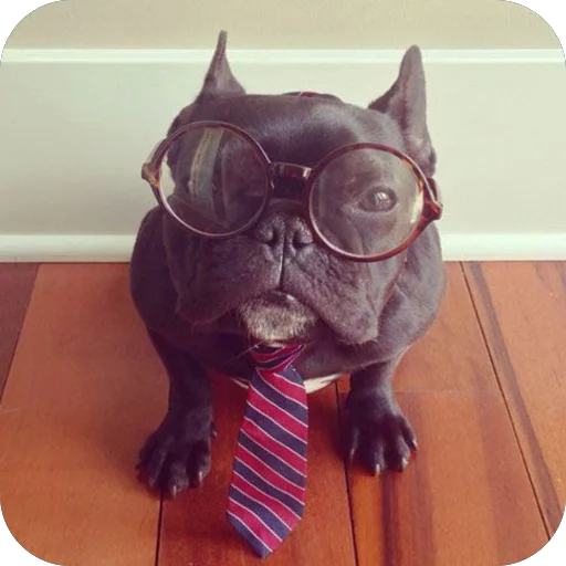 Sticker StikeryDlyaAvtoritetov - 1