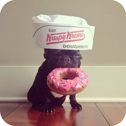 Sticker StikeryDlyaAvtoritetov - 1