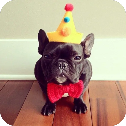 Sticker StikeryDlyaAvtoritetov - 1