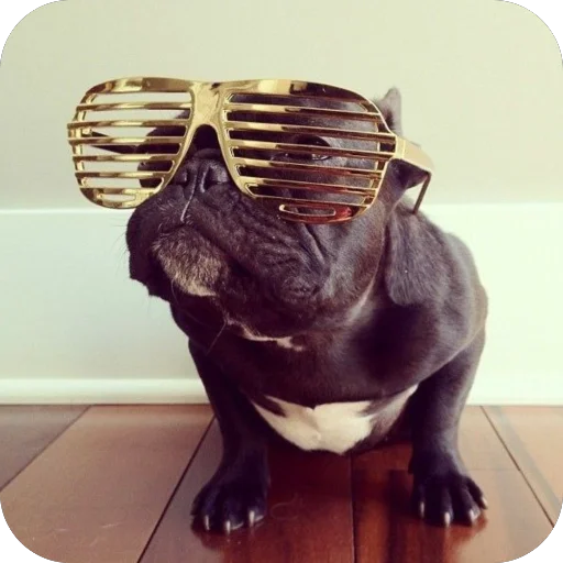 Sticker StikeryDlyaAvtoritetov - 1