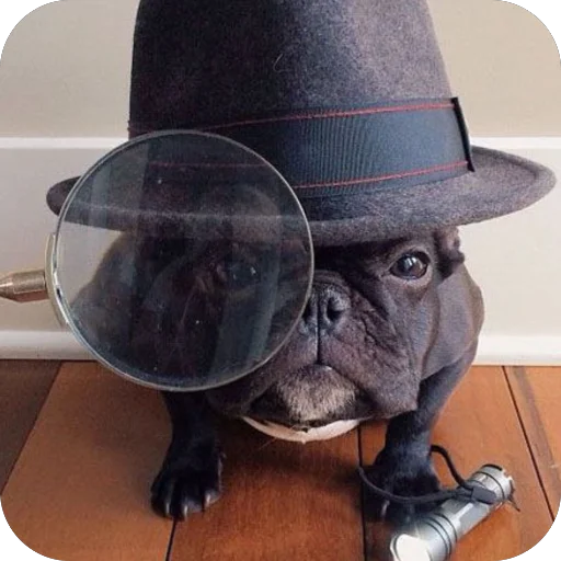 Sticker StikeryDlyaAvtoritetov - 1