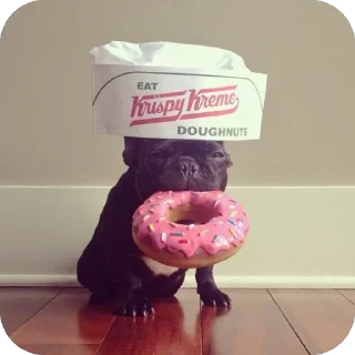 Sticker стикеры для авторитетов сделал @disctictic - 4