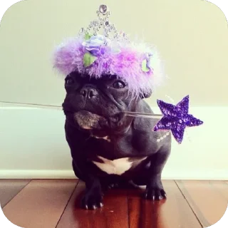 Sticker стикеры для авторитетов сделал @disctictic - 8