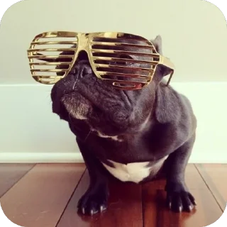 Sticker стикеры для авторитетов сделал @disctictic - 1