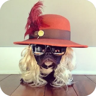 Sticker стикеры для авторитетов сделал @disctictic - 9