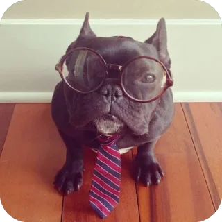 Sticker стикеры для авторитетов сделал @disctictic - 5