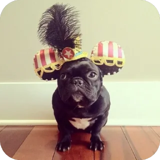 Sticker стикеры для авторитетов сделал @disctictic - 11