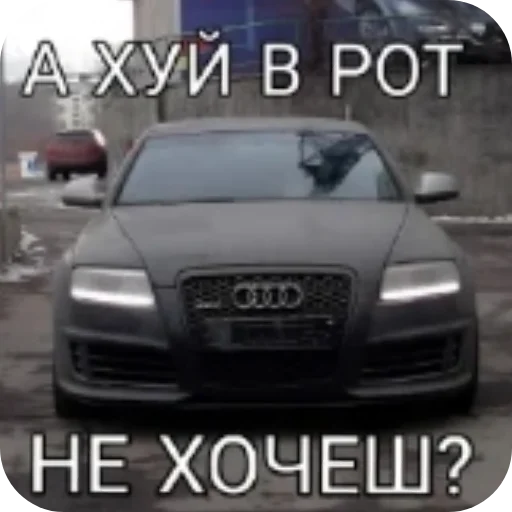 Стикер StikeryDlyaGoshi - 1