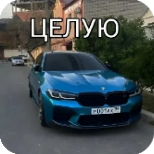 Стикер StikeryDlyaGoshi - 1