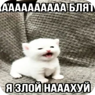 Стикер Стикеры для Гоши - 7