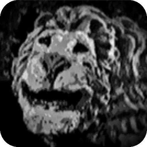 Sticker StikeryEHkslipsSiriusa - 1