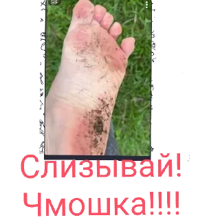 СМС палец ноги Человек