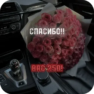 Стикер Стикеры канала - @bmw_oboiedit. | @ishodtahekfree - 4