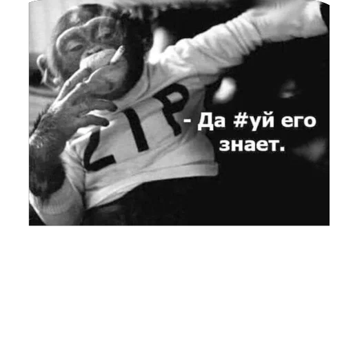 Sticker StikeryKrutyhPacanov - 1