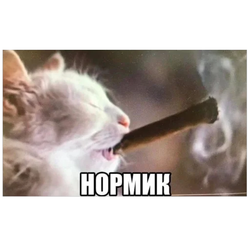 Sticker StikeryKrutyhPacanov - 1