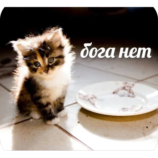 Sticker StikeryKrutyhPacanov - 1