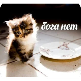 Sticker стикеры крутых пацанов - 6