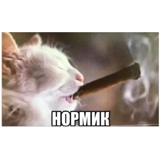 Sticker стикеры крутых пацанов - 8