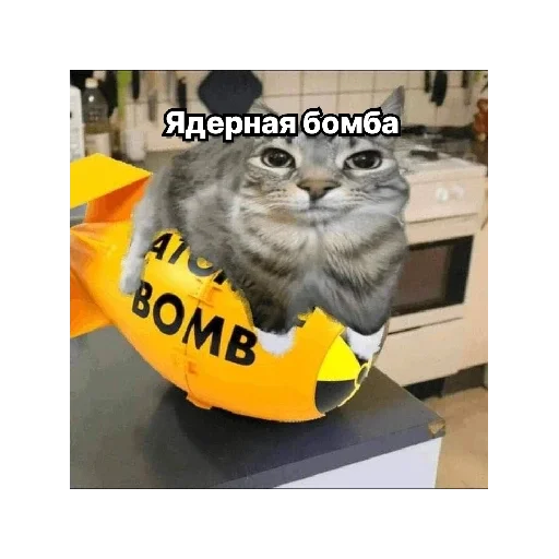 Стикер StikeryMisteraShlyopy - 1